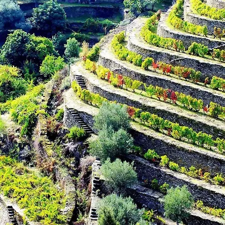 House Apartman Pinhão