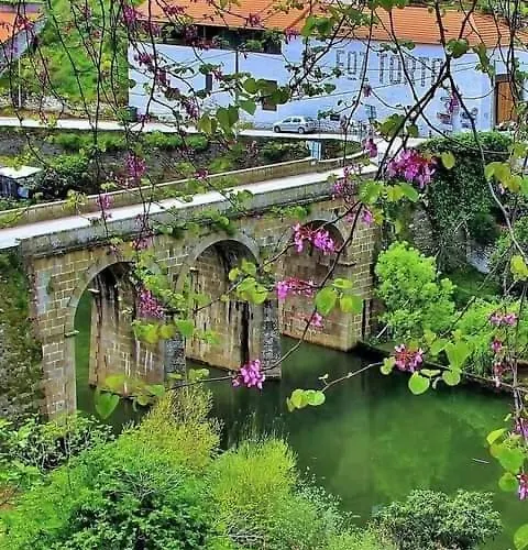 Appartement House Pinhão