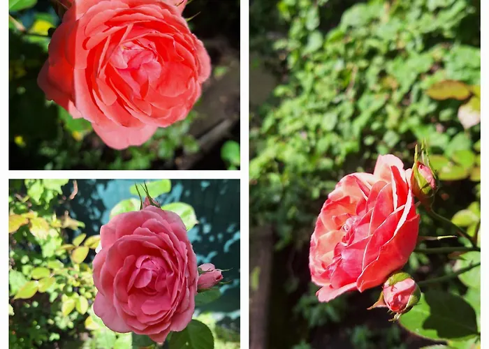 Appartement House Pinhão