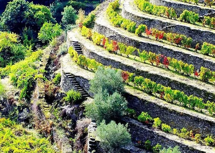 House Appartement Pinhão